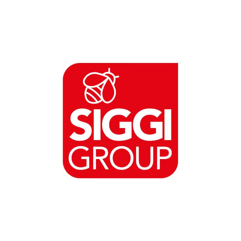 SIGGI GROUP